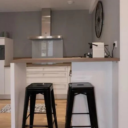 Aux Deux Pics - Tucou Et Monne Apartment Bagneres-de-Bigorre